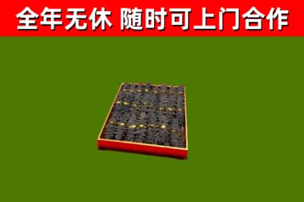 南山回收海参